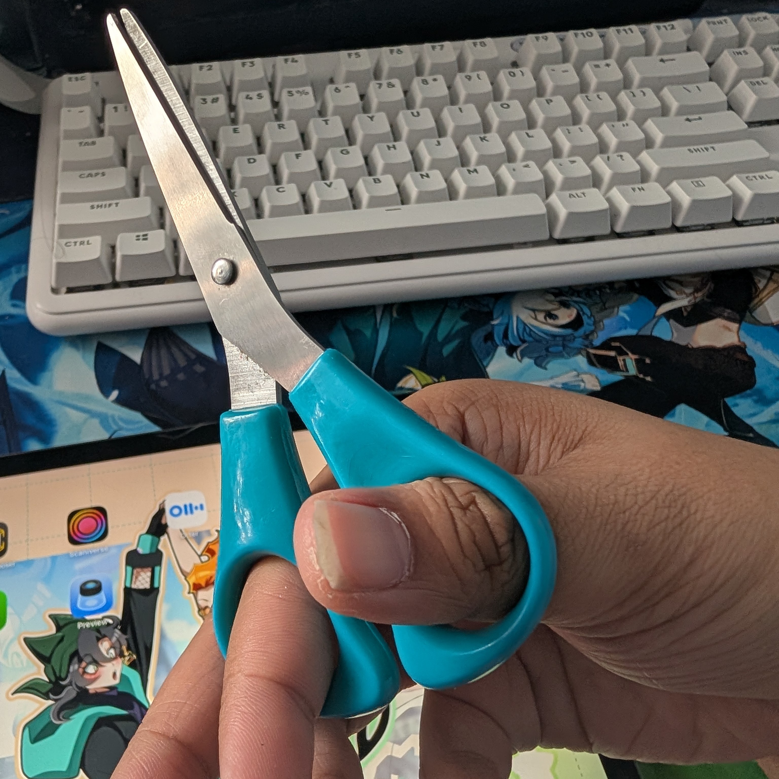 The cutting noise the scissors make when I'm using them for this pair in particular is extremely clean cut and satisfying. No pun intended at all. Teal is my favourite color and I've owned this particular pair for a while. I use it a lot for scrapbooking and journaling.<br><audio controls src='Noises/Scissors.m4a'></audio>